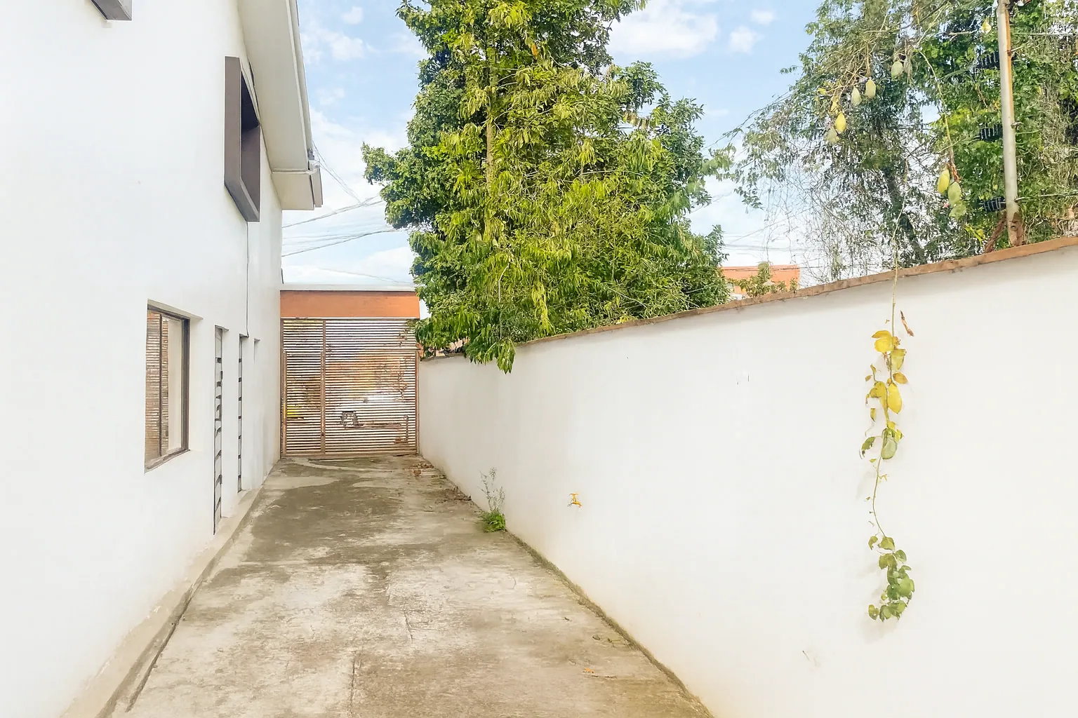 Apartamento Colorado · Green foto 55
